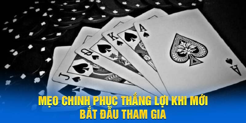 Mẹo chinh phục thắng lợi khi mới bắt đầu tham gia