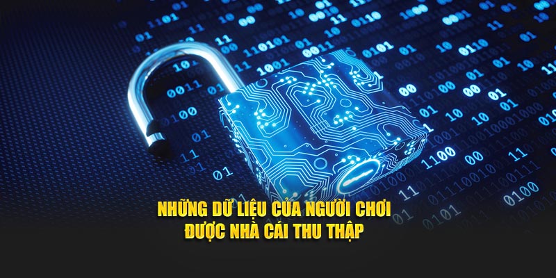 Những dữ liệu của người chơi được nhà cái thu thập